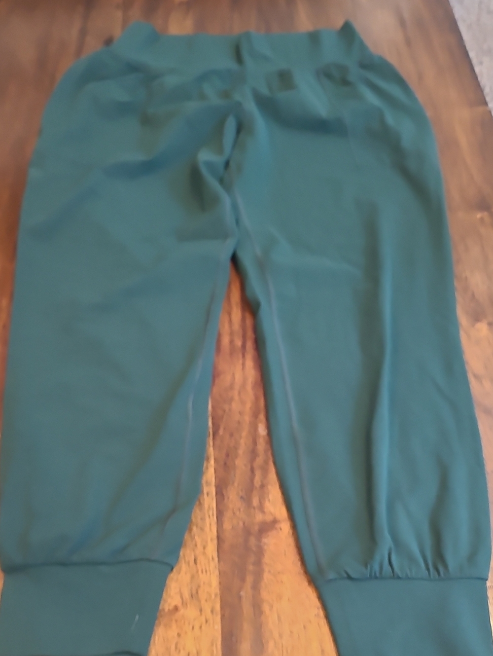 Athleta Salutation Jogger Green Large Yoga Pants. Like New - Picture 1 of 4